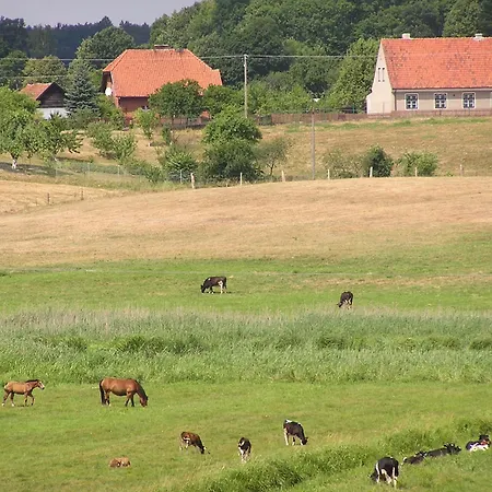 Séjour à la ferme Nad Dolina Krutyni